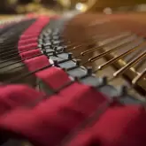 Interior of a concert grand piano
