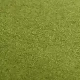 713-kiwi